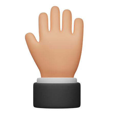 Stop Hand Gesture  3D Icon