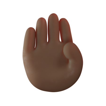 Stop Hand Gesture  3D Icon