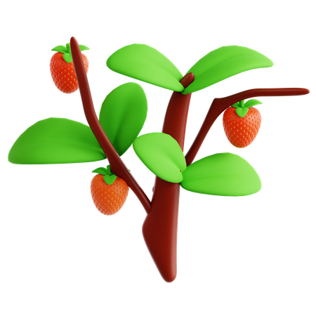 Strawberry  3D Icon