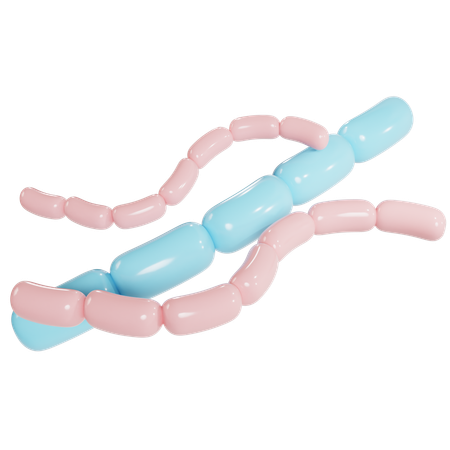 Streptobacillus Bacterial Structure  3D Icon