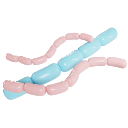 Streptobacillus Bacterial Structure  3D Icon