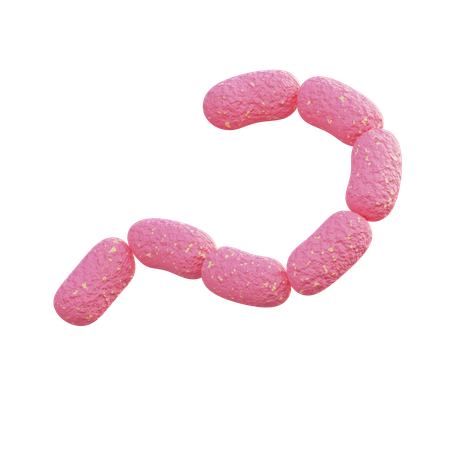 Streptobacillus Monoliformis  3D Icon