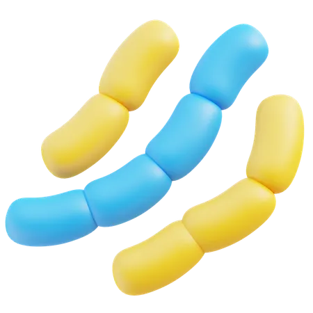 Streptobacillus Monoliformis  3D Icon