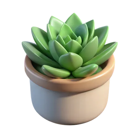 Succulent in Ceramic Pot  3D Icon