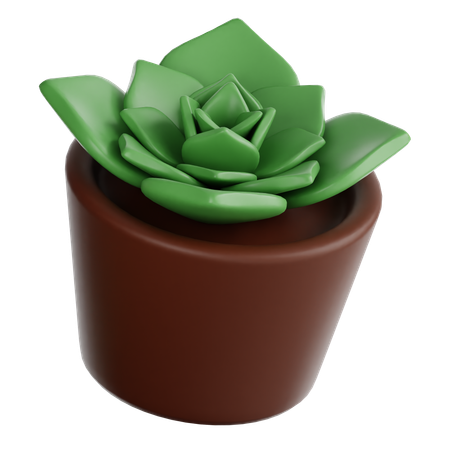 Succulent Plant  3D Icon