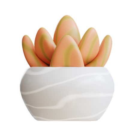 Succulent Plant  3D Icon