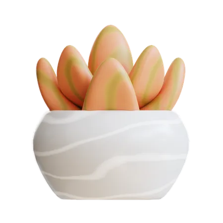 3 D Icon Succulent Plant 3D Icon