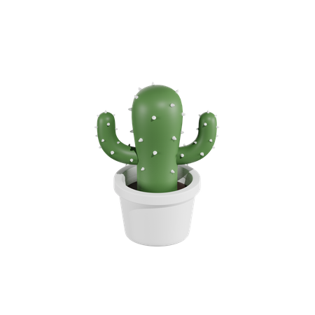 Succulent Plant  3D Icon