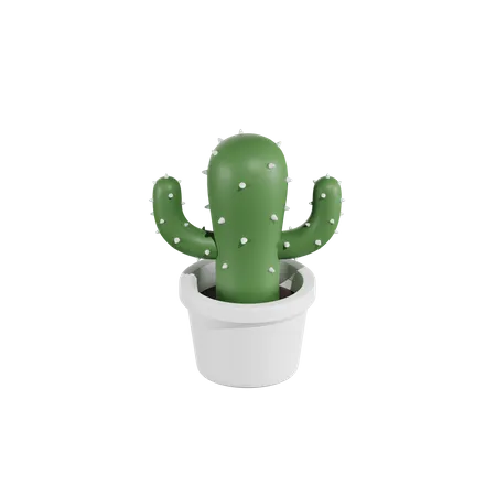 Succulent Plant  3D Icon