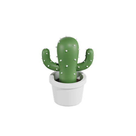 Succulent Plant 3D Icon