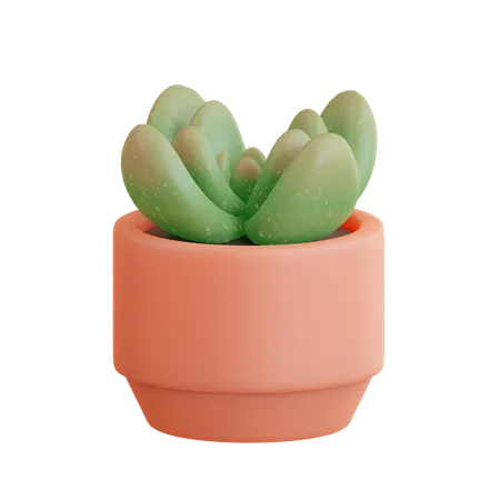 Succulent Pot  3D Icon