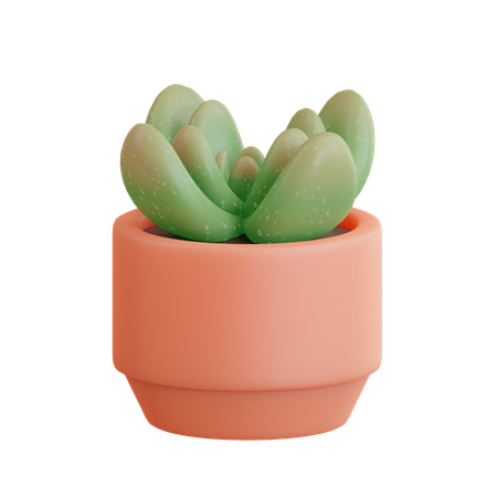 Succulent Pot  3D Icon