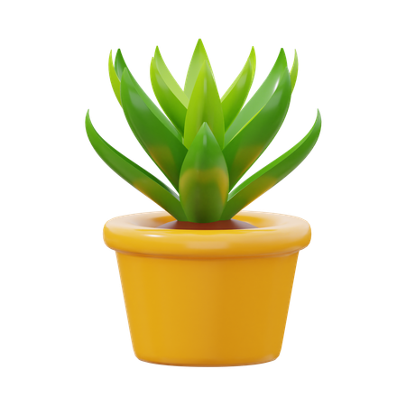 Succulents  3D Icon