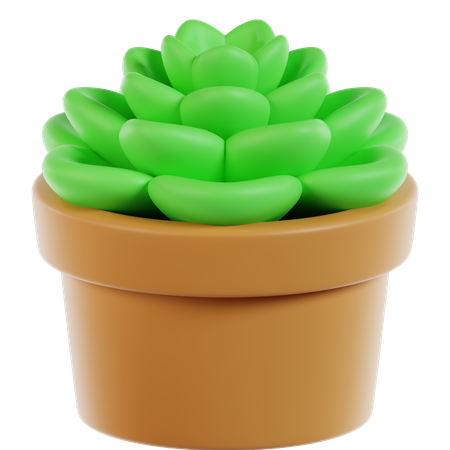 Suculento  3D Icon