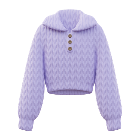 Botones de suéter de las mujeres  3D Icon