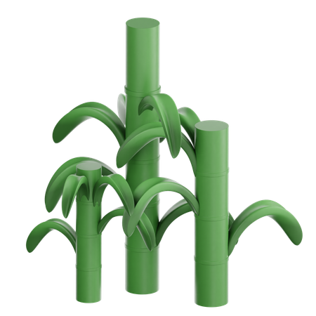 Sugarcane plant  3D Icon