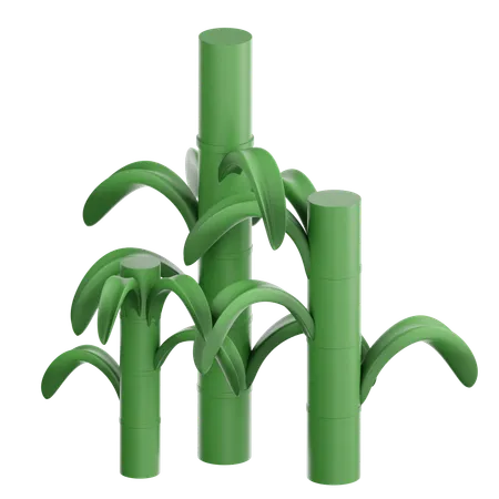 Sugarcane plant  3D Icon
