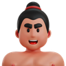 3ds for sumo