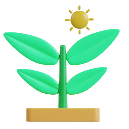 Sun  3D Icon