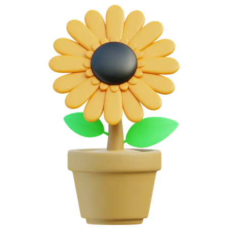 태양 꽃  3D Icon