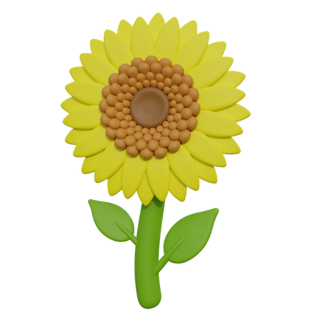 Sun flower  3D Icon