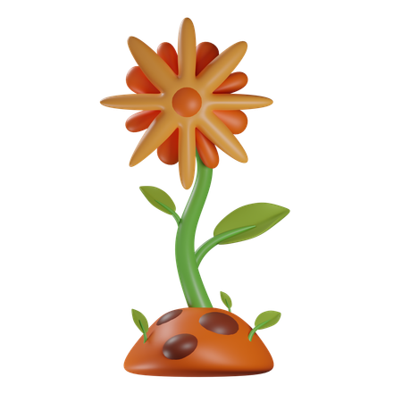 Sun Flower  3D Icon