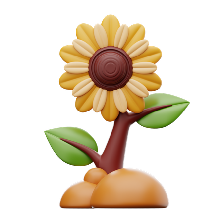 Sun Flower  3D Icon