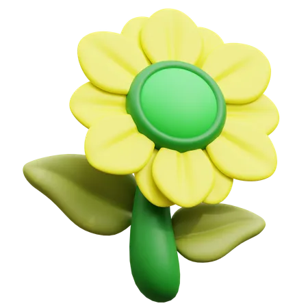 Sun Flower  3D Icon