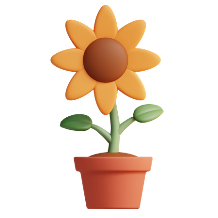 Sun flower  3D Icon