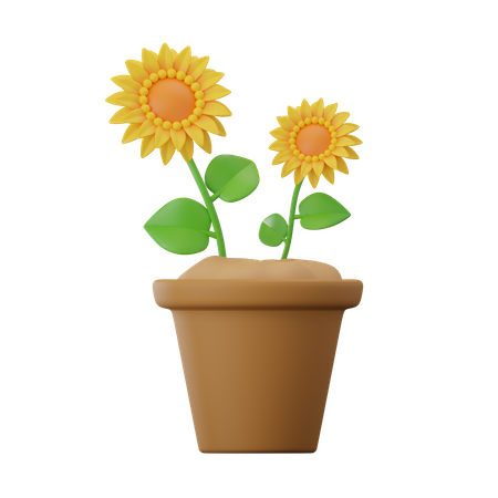 Sun Flower  3D Icon