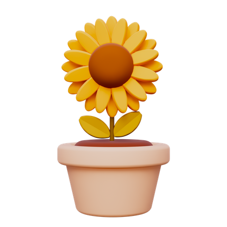 Sun Flower  3D Icon