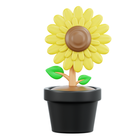 Sun Flower  3D Icon