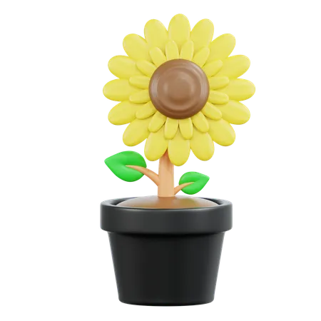 Sun Flower  3D Icon