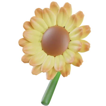SUN FLOWER  3D Icon
