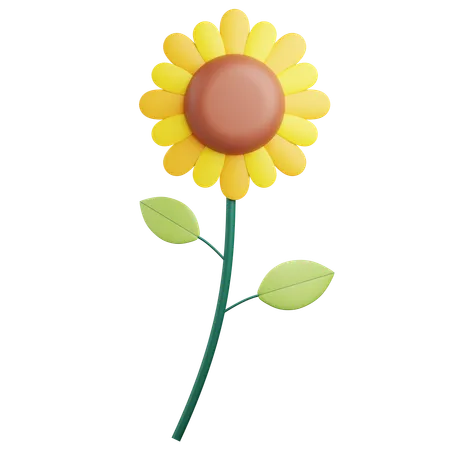3 D Sun Flower Illustration With Transparent Background 3D Icon