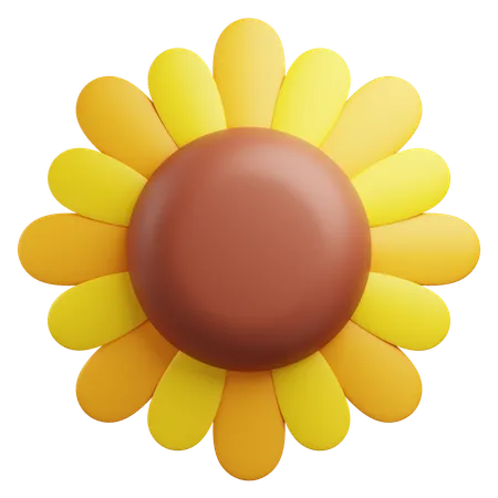 3 D Sun Flower Illustration With Transparent Background 3D Icon