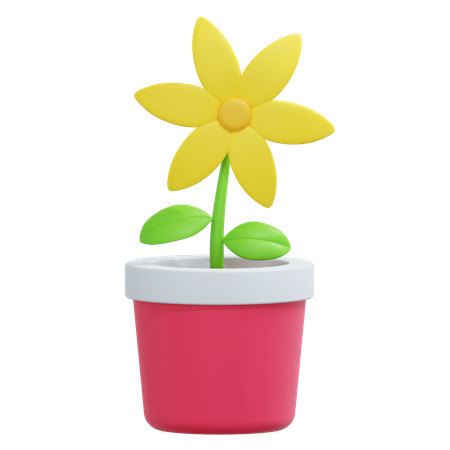 Sun Flower In The Pot  3D Icon