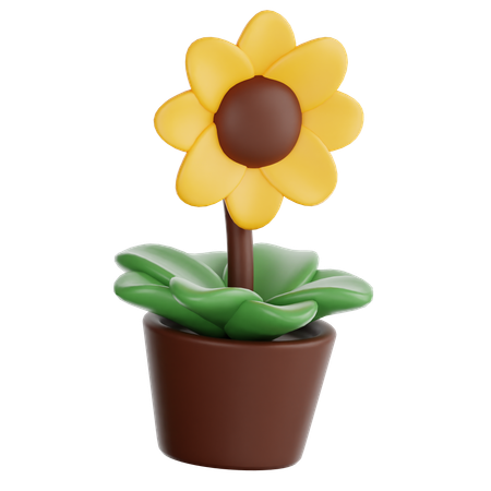 Sun Flower Pot  3D Icon