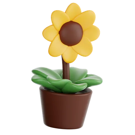 Sun Flower Pot  3D Icon