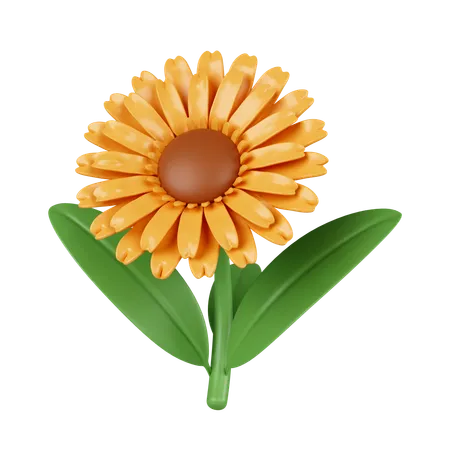 Sun Flowers  3D Icon