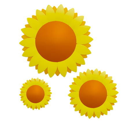 Sun Flowers  3D Icon