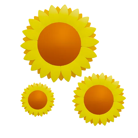 Sun Flowers 3D Icon