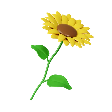 Sun Flowers  3D Icon