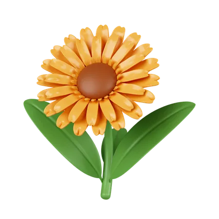 3 D Sun Flowers Icon Isolated On White Background 3 D Rendering Illustration Clipping Path 3D Icon