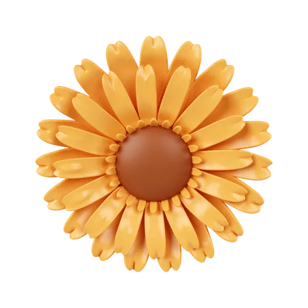 Sun Flowers  3D Icon