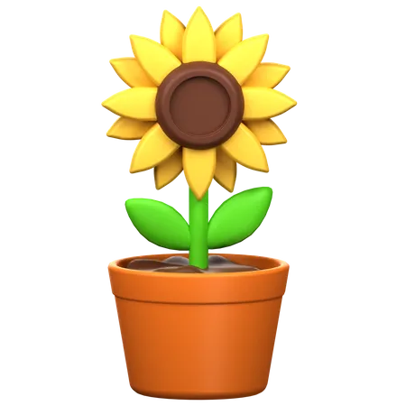 Sunflower 3 D Icon Illustration 3D Icon