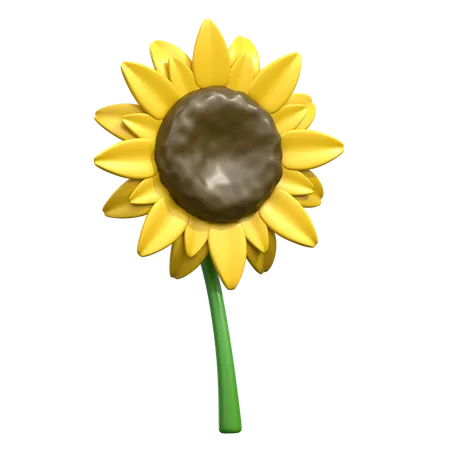 Common Sunflower 3 D Icon 3D Icon