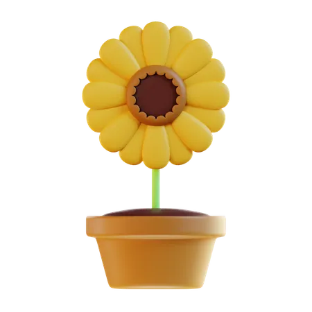 3 D Sunflower Illustration 3D Icon