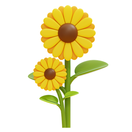 Sunflower  3D Icon