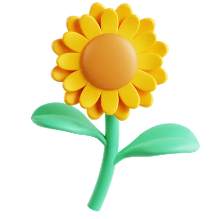 Sunflower 3 D Icon 3D Icon